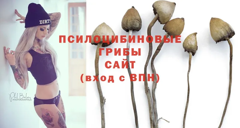 Галлюциногенные грибы MAGIC MUSHROOMS  где купить   Нижнекамск 